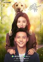 《照亮你》全集高清在线观看免费观看
